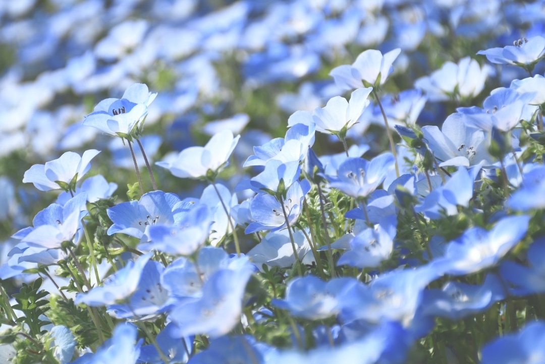 Thumb f1eca1be 1839 42aa 9738 fca71822aa2c