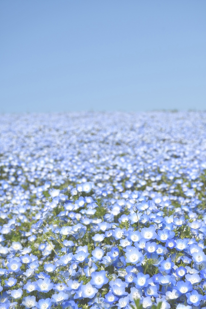 Thumb 9460d6c6 4afc 42f3 be1e ee8a02e3db9d