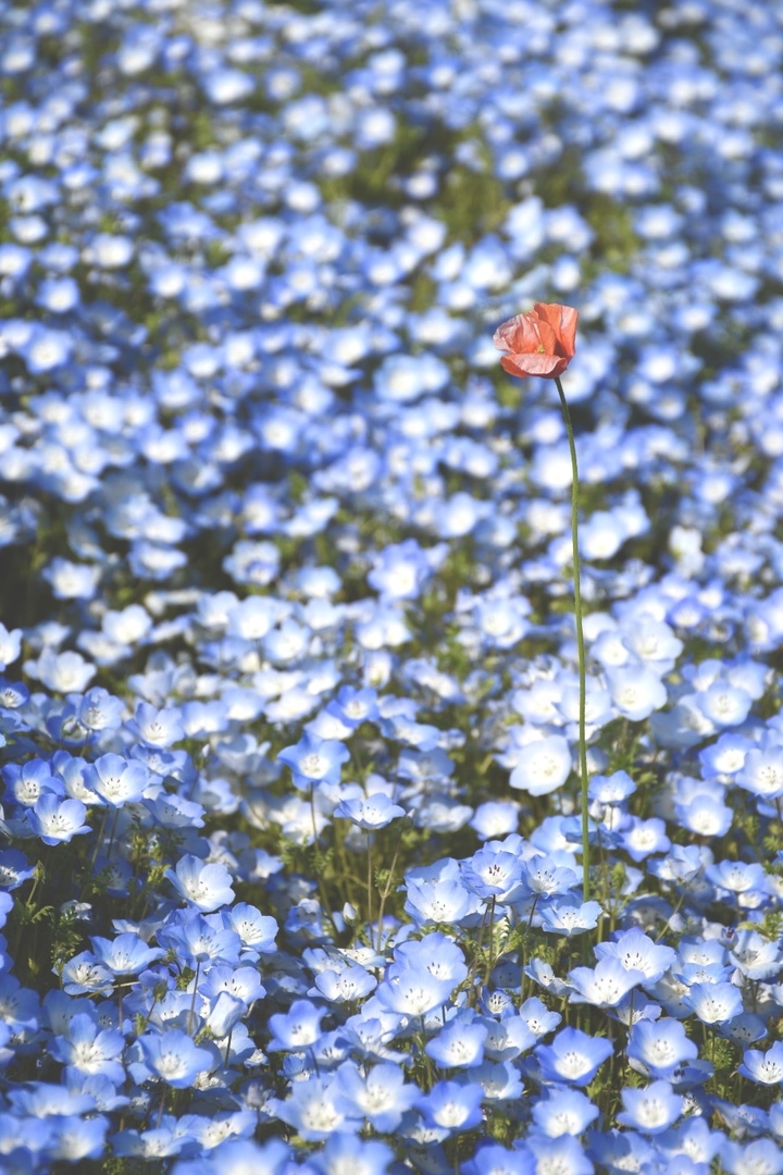 Thumb 42c0e0d4 7062 4963 ae43 cac03066cb26