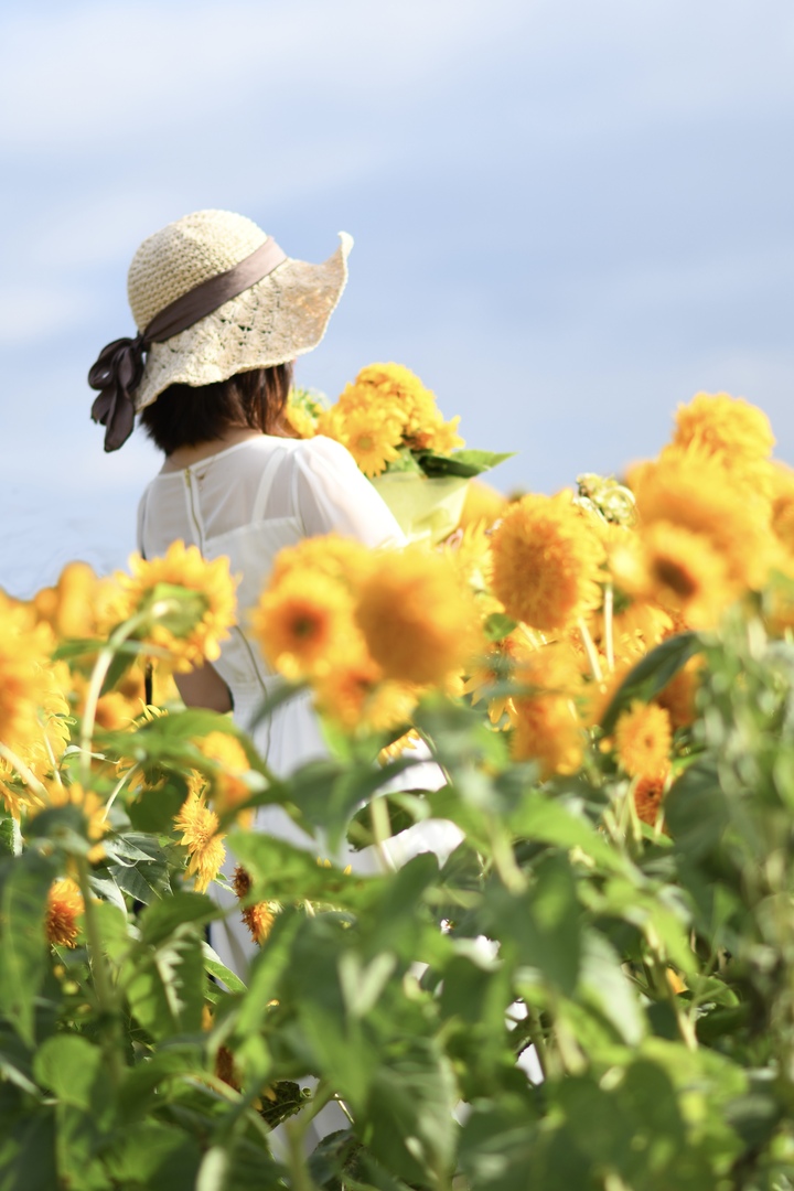 Thumb 7401b44c 2f17 4bc4 9be2 01de14e82e1a