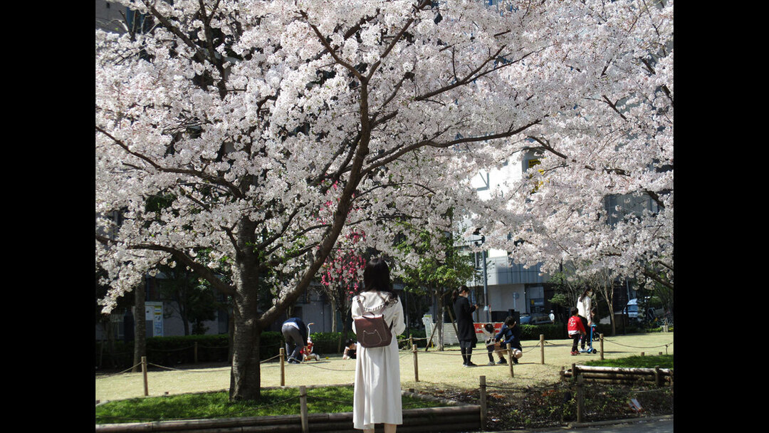 Thumb 619a4dc7 5888 4b2b 980e 2d11c7cf5a6f