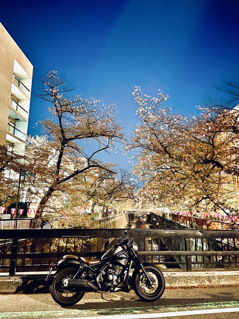 Thumb f753d67b fe33 4cae 94c0 8496c7ad6fec