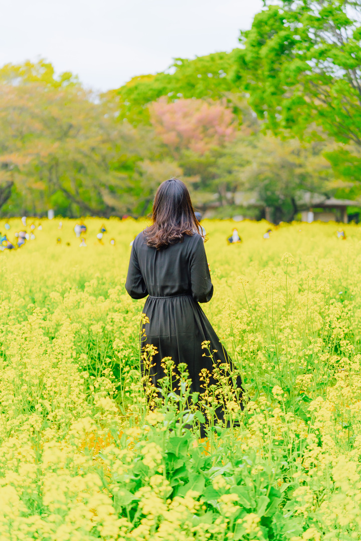 Thumb 1539f427 a08a 4cec 9f38 9186aa88df3d