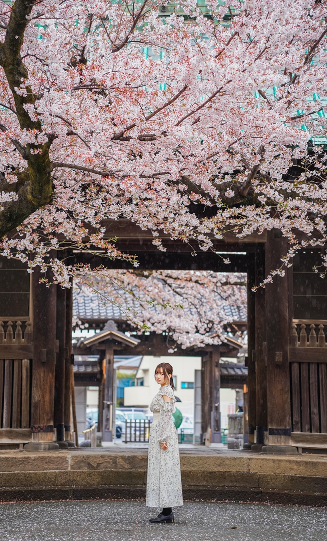 Thumb 2a7e6341 97b8 441f 8138 40ae461e81dc