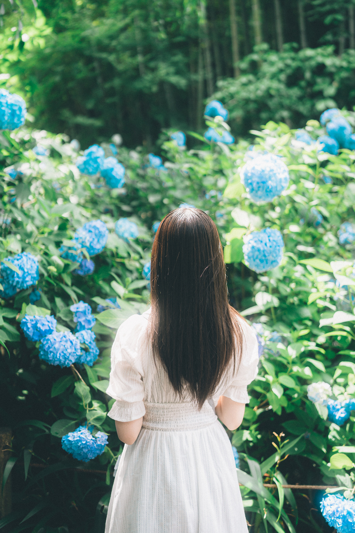 Thumb 61c31220 468c 414a bb9e e55b8bd2dad3