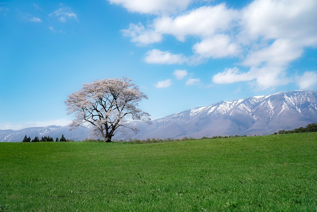 Thumb 6aa3694a f590 41ea 885f 9639a534448d