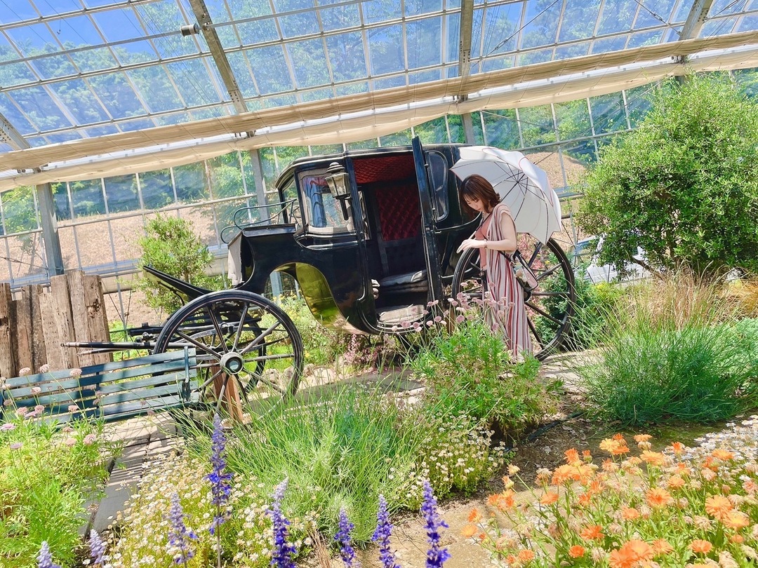 Thumb b9d84ebc c326 45de a975 531761e3aa0d