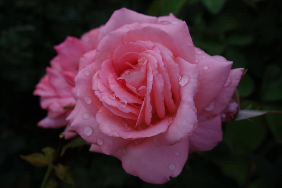 Thumb c68949ba 2268 41fe 9a1a 8a89a98ce3ea