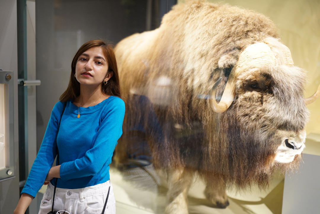 Thumb c8bb8401 41b2 4ca7 8c9e 1b834aad97f0