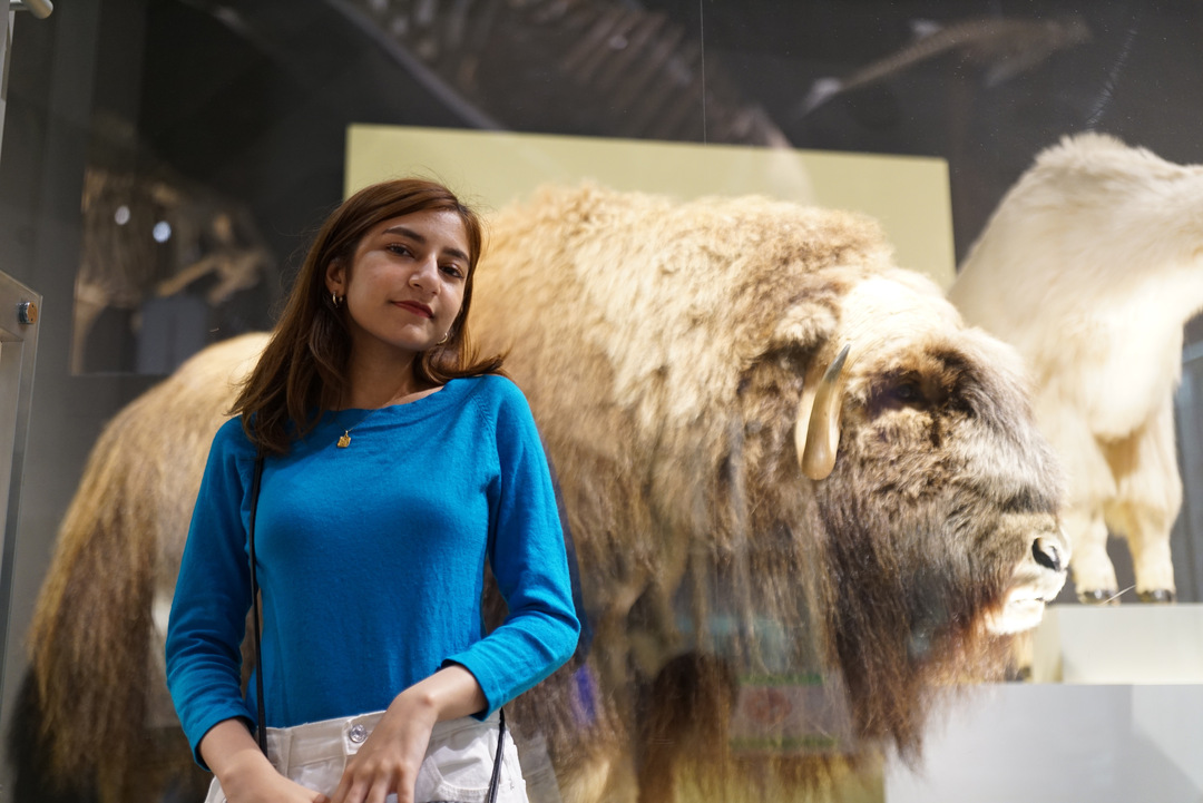 Thumb 8dfcad3e 2620 411e b0a0 47e120a559e7