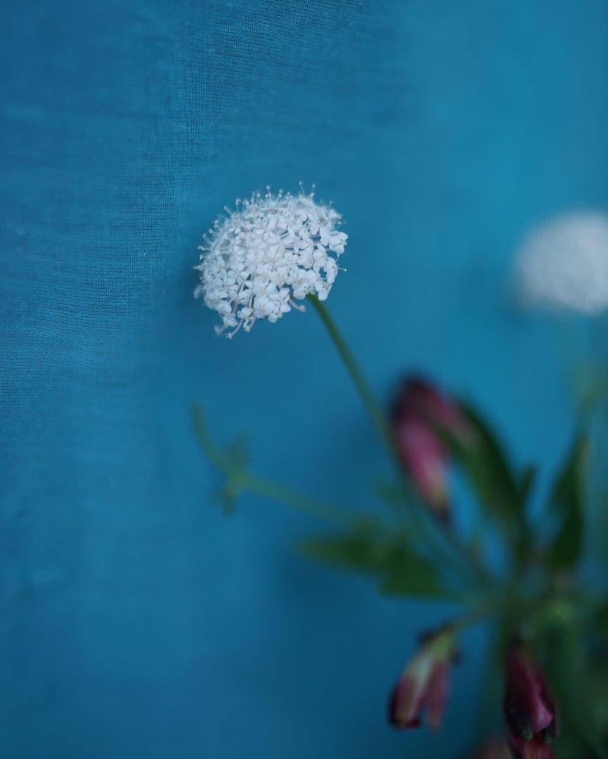 Thumb ac48788e 3f9c 4478 966b 97b50139bd8a