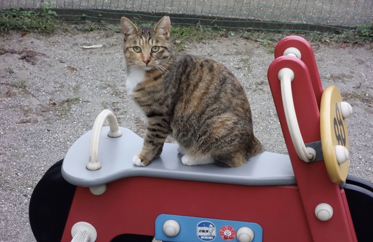 Thumb fc8ef693 e712 4105 b5bc bcb7ddeff319