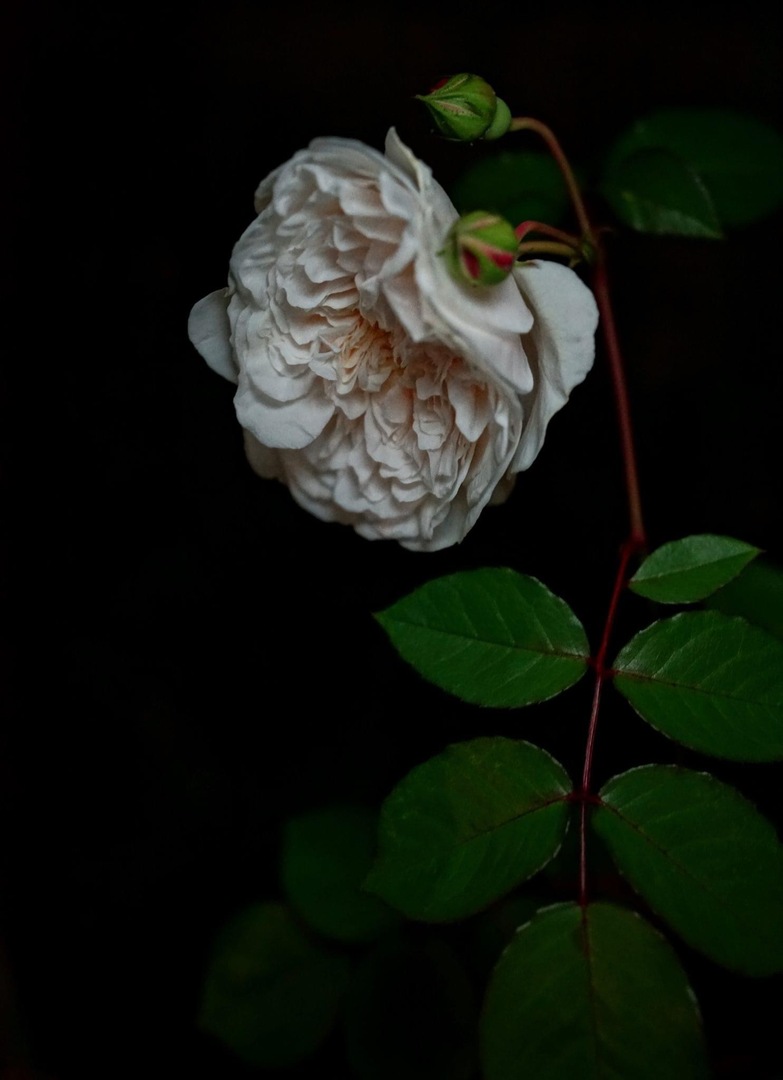 Thumb 944b235a fd20 4c34 a192 ae520a9f1d37