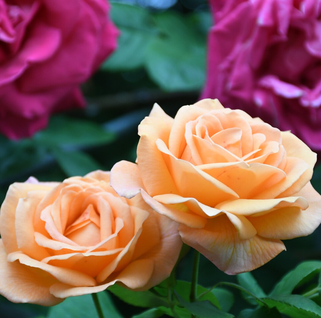 Thumb acf9f868 f13d 40bd 9e6a 6b04ac1f73d5