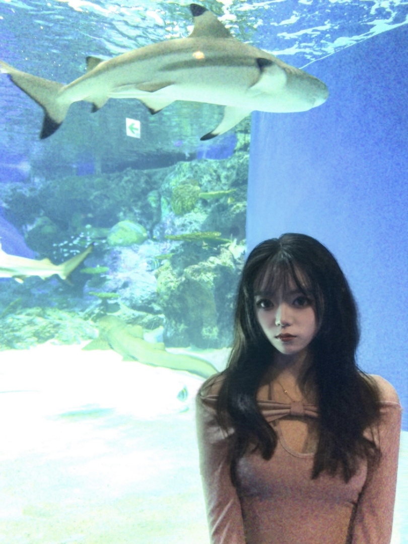 Thumb 5fcdd8f5 118e 4d12 bb80 10063f7501a9