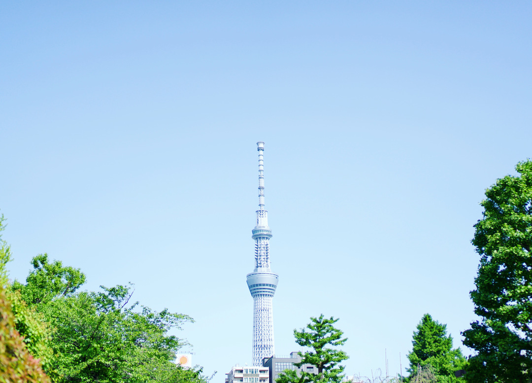 Thumb 8b7f8403 1019 4d51 9dce f59a26f4a8b3