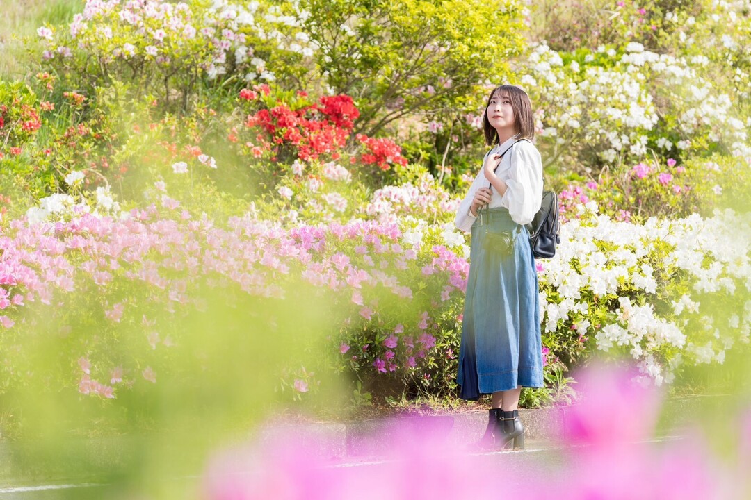 Thumb a49d93e6 22e7 4f93 b40d 32e0c2901179