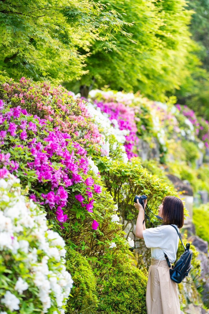 Thumb cc6de986 1cef 4708 8940 c6c279510094