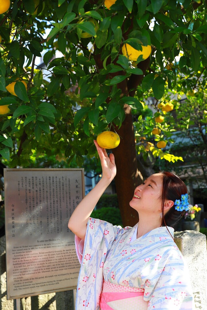 Thumb b47c94e2 56e3 4e18 b1cf bffad9a36de3