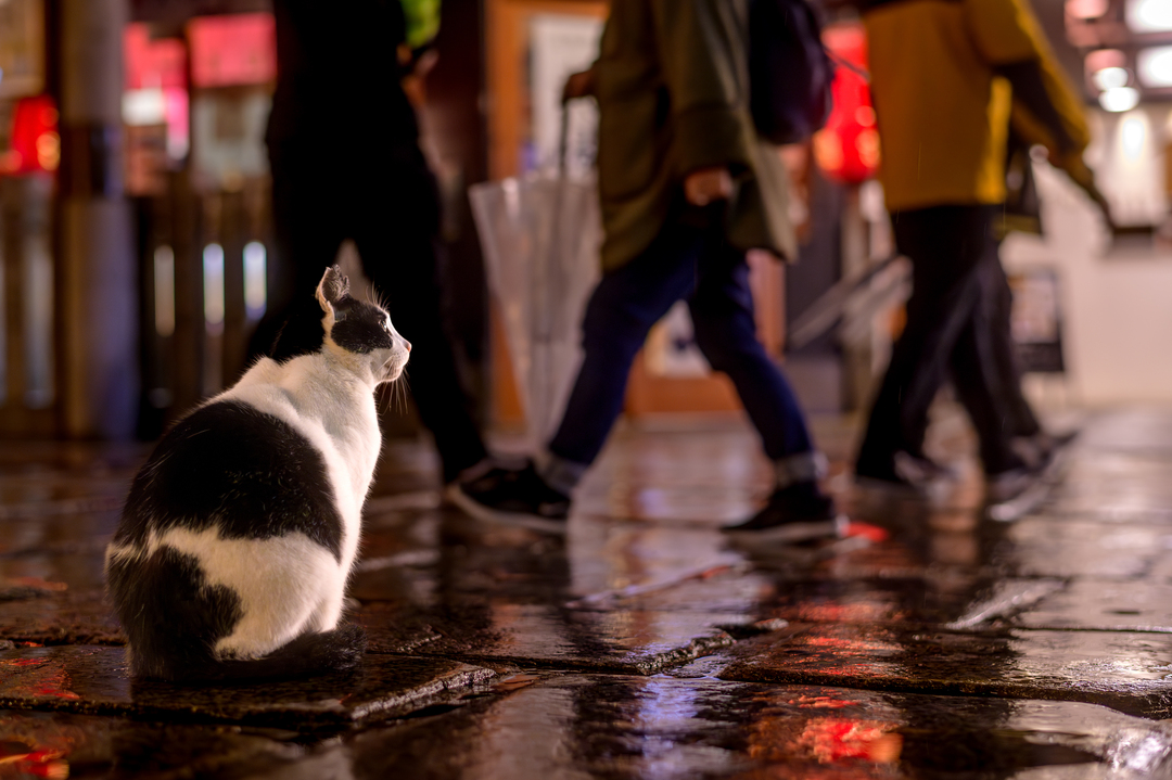 Thumb 4541b849 a384 404b b4a4 f582675fd19f