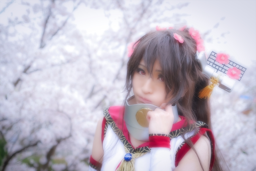 Thumb bcd82782 1e81 4d8d 9a43 6e2dc9976f84