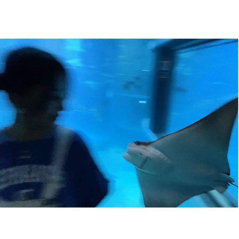 Thumb dfcac3df e1f7 426f 858e 94fb33894c2b