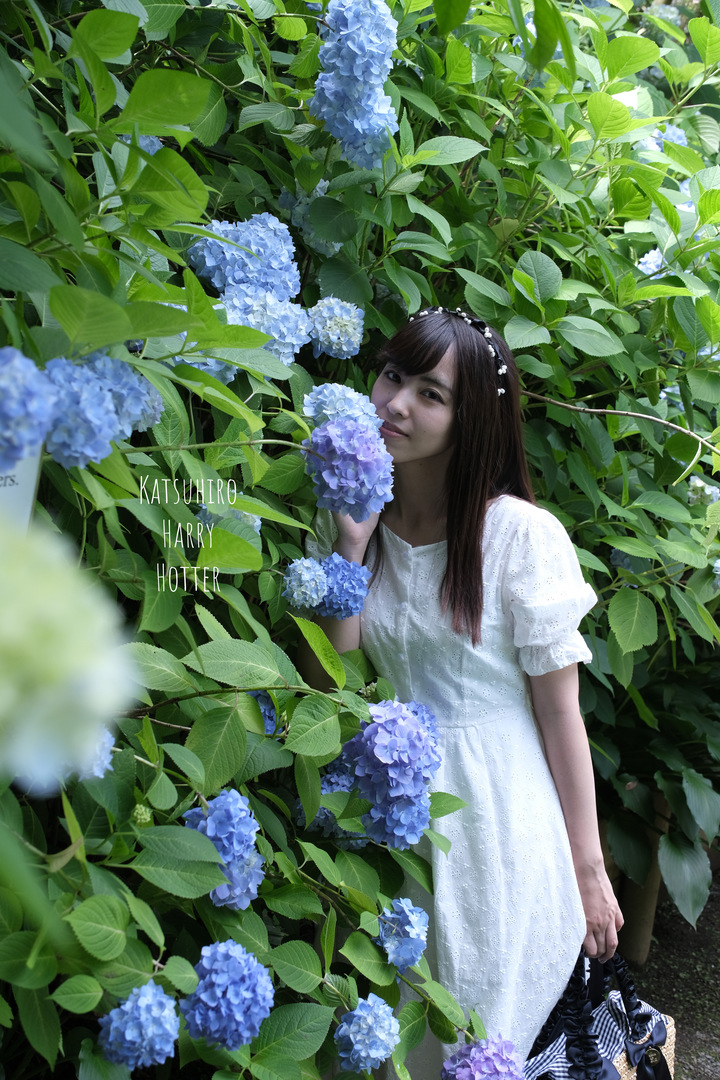 Thumb a9e78c52 d03c 4e27 a690 0a0a89ae08f9