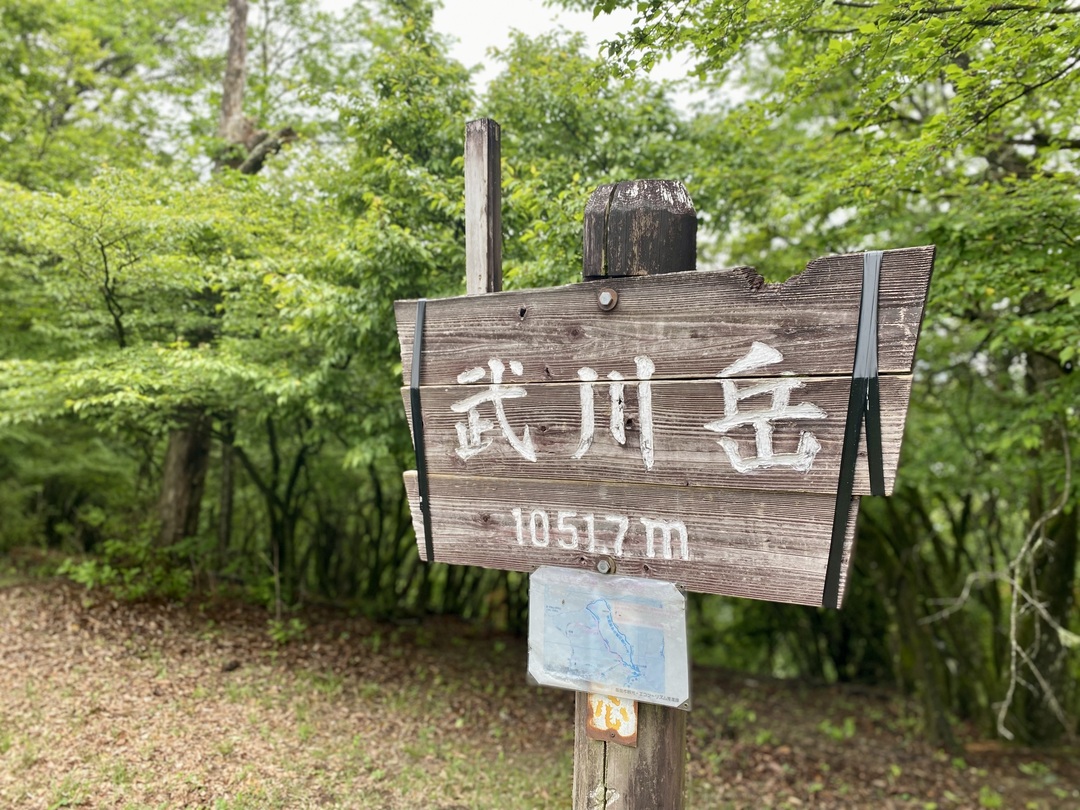 Thumb fdd93f72 ee35 4407 9229 4d145cb1fcf7