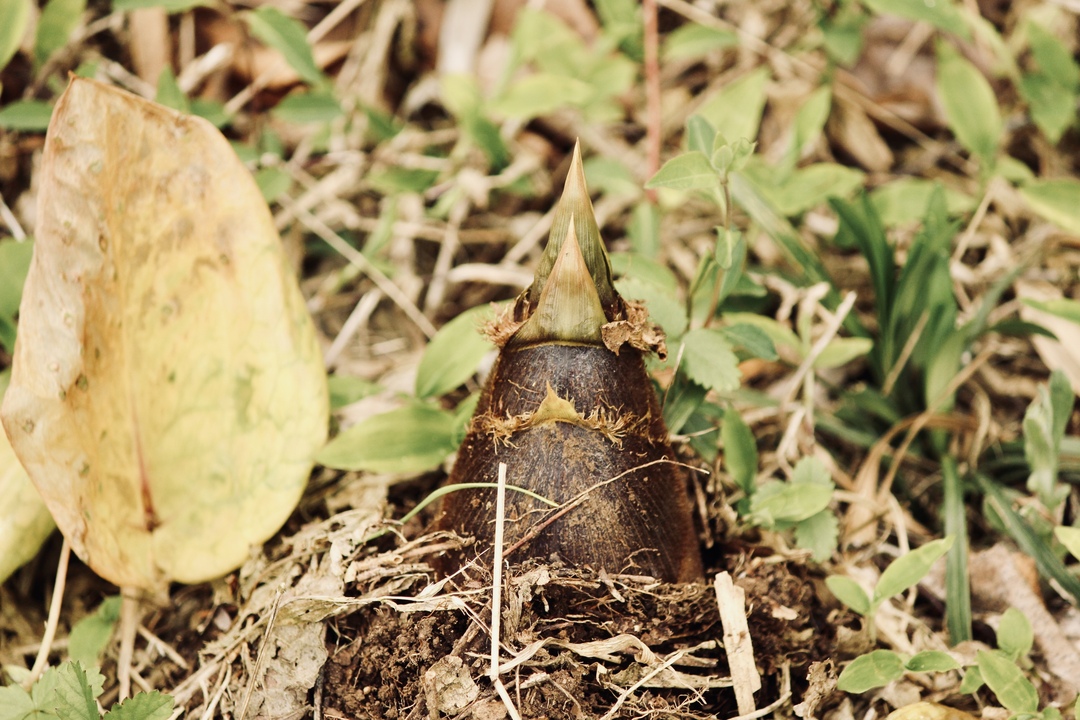 Thumb 8f67ffbe 25d1 4cc0 bce8 35c862f71462