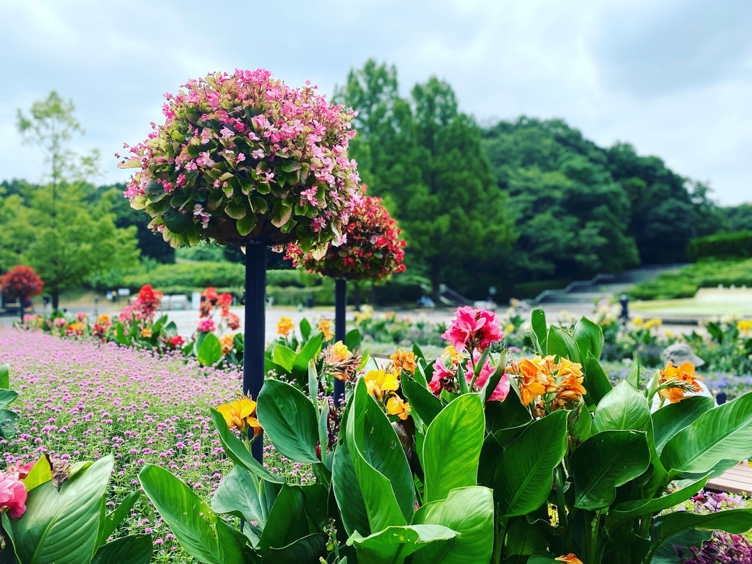 Thumb b351b6fa 91aa 4e45 ba17 af2c148cd861