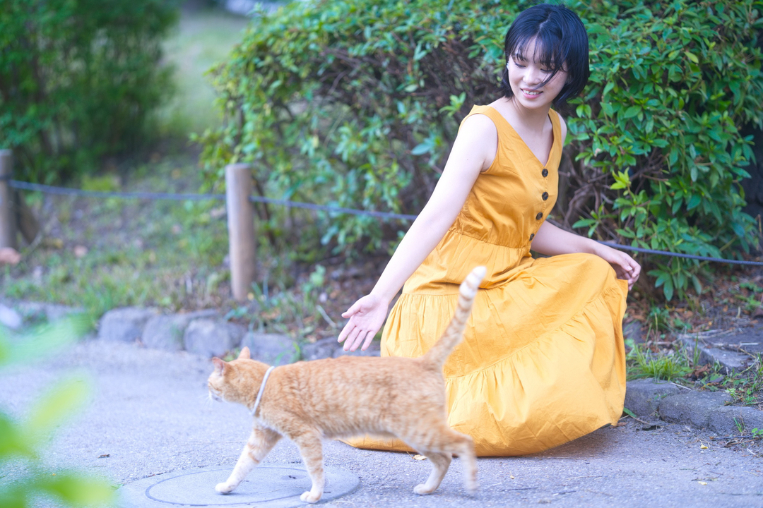 Thumb 620bb1f5 0080 42b6 a2b6 632a43cc2d21