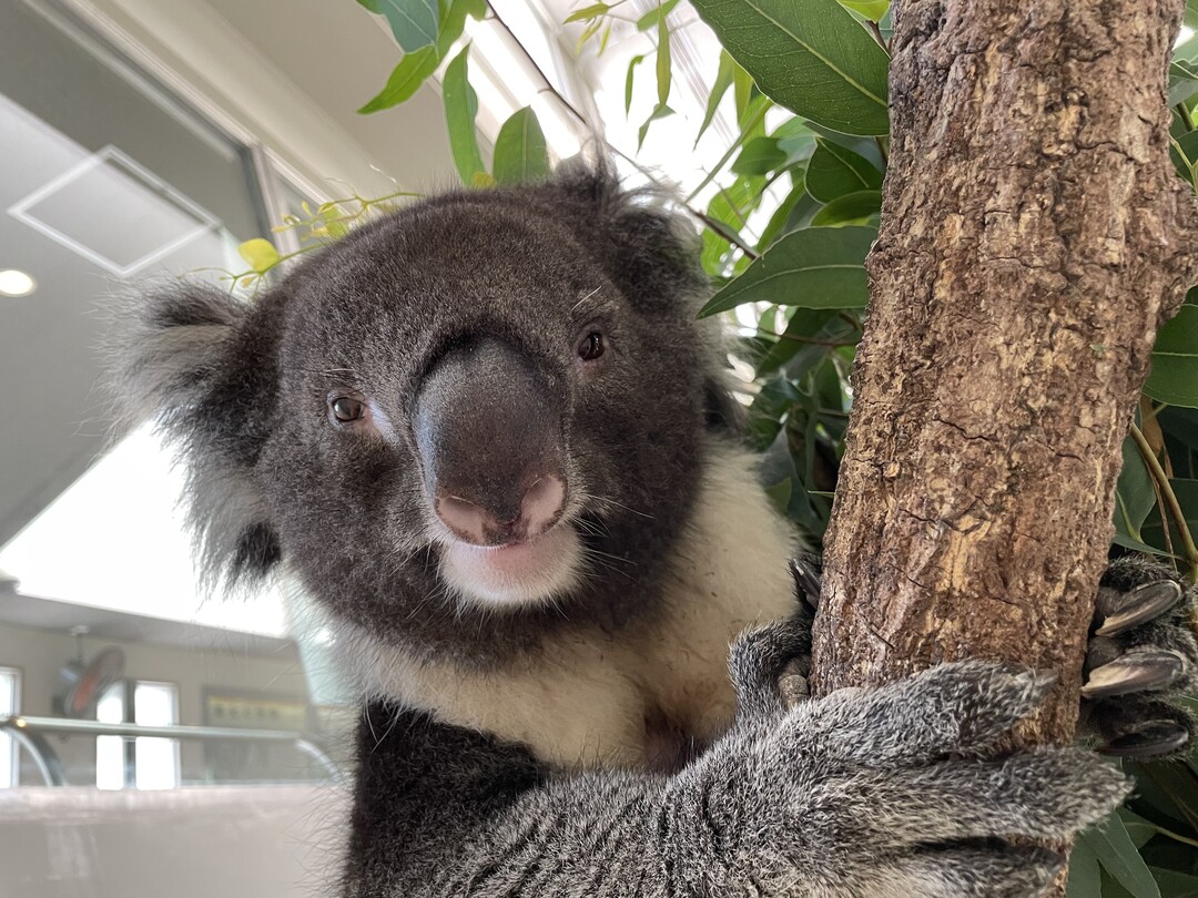 Thumb e7baa6cb c329 4444 b650 daf61eaa7150