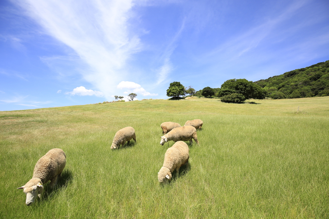 Thumb bed9753a 2409 4895 b4dc f8ffd6fd02ff