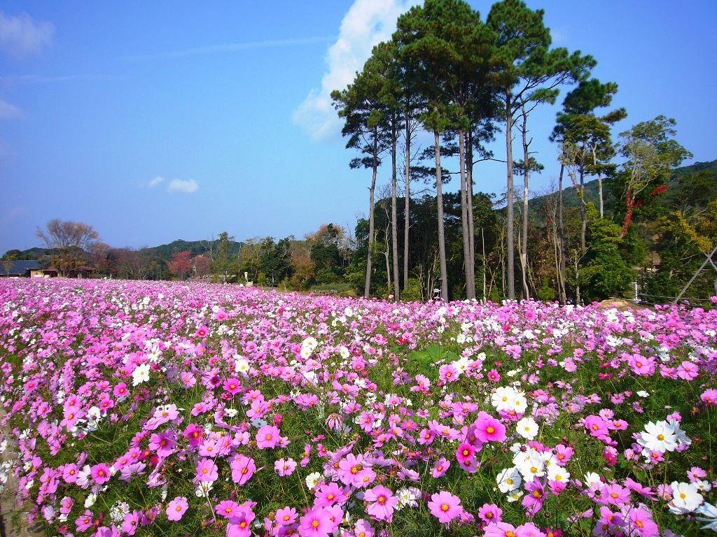 Thumb e4204eac cd72 4b6a 9da7 fb732a9a8226