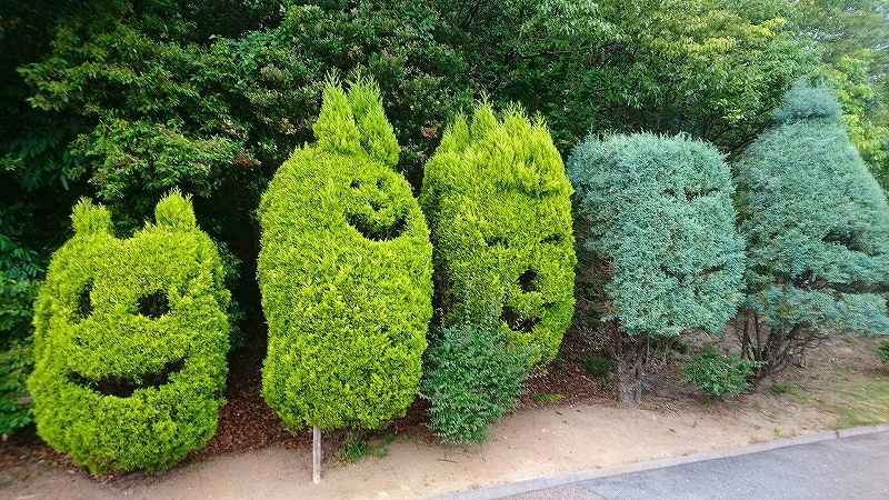 Thumb e7e7cc22 42d6 4a34 a7bb 6c1651fe96ac