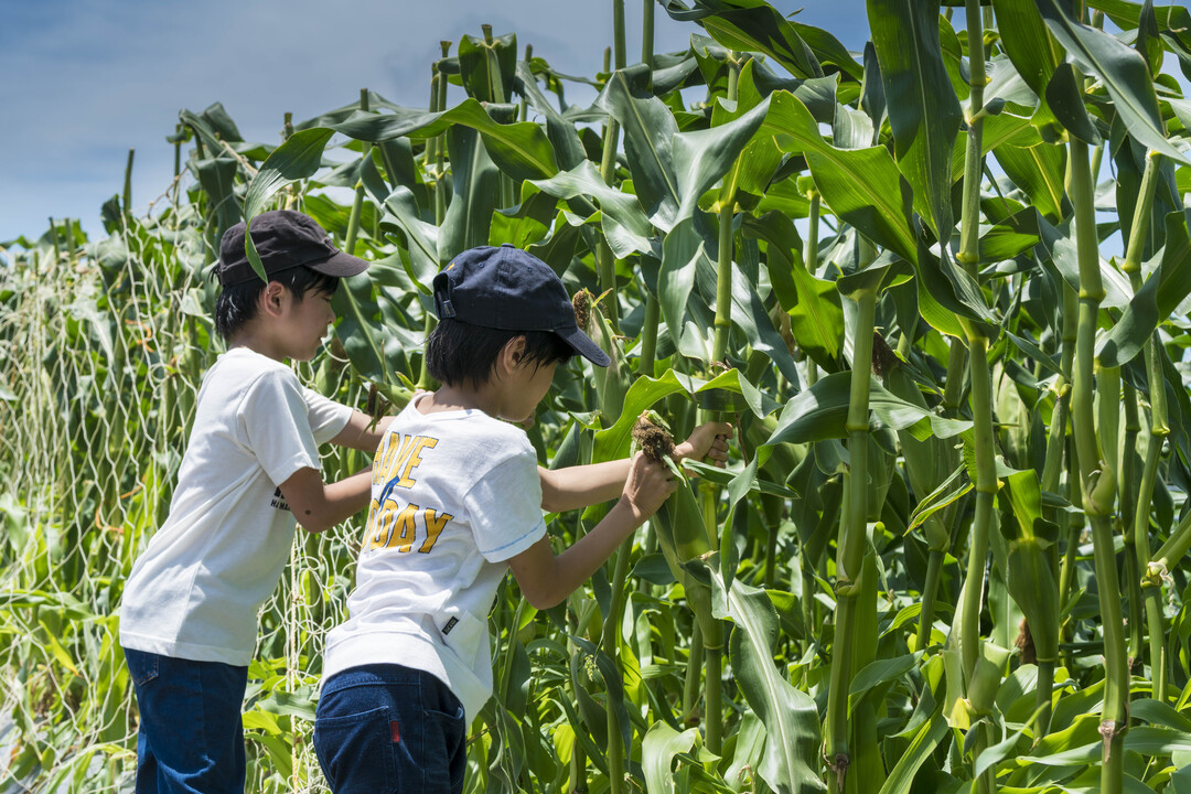 Thumb 879e4f33 9878 4078 8b8f e70420c18f0e