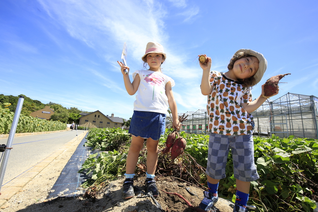 Thumb 9ced173c 4ec1 48c5 9894 8dbc52828729