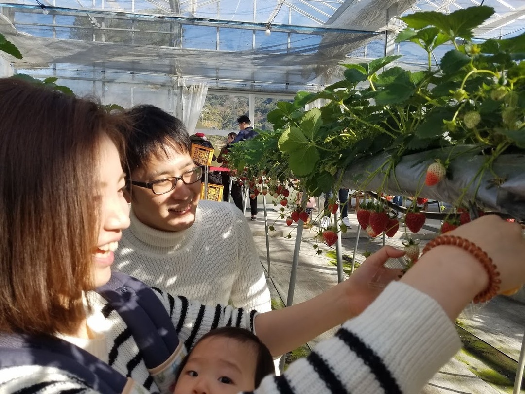 Thumb d8b2bb18 00f0 4d9a a1d5 c5a96f0770e6