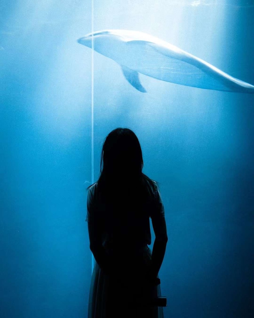 Thumb 4e7fd77f 65a9 40bf 9edf a715e42f7b58