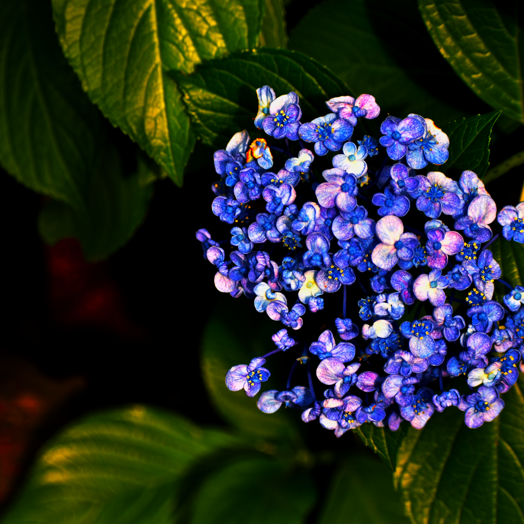 Thumb 33999e12 a8fb 494d bcef 1907624ee26d