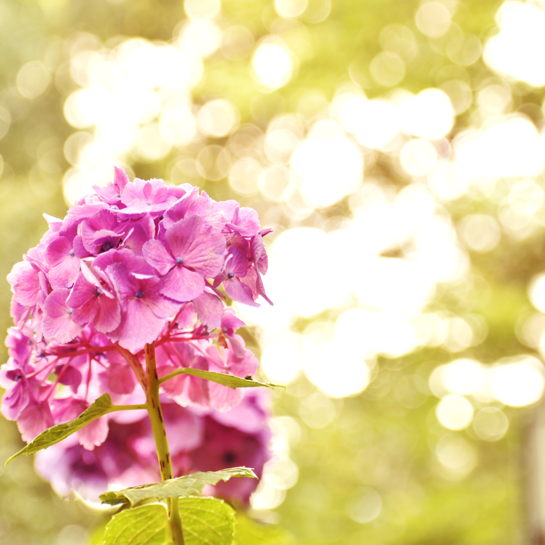 Thumb 8a9a233c d861 4bab a99b 74be21b0c986