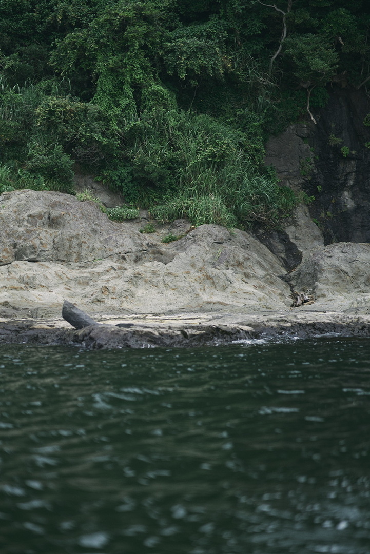 Thumb 288e312c 6080 408e af43 a0d6922bf6b9