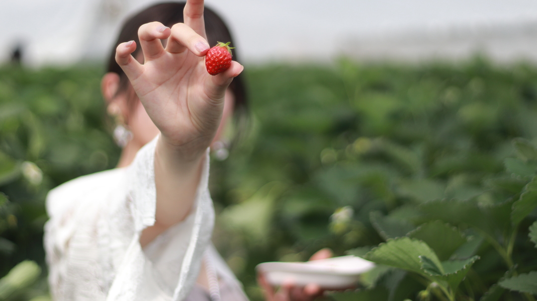 Thumb 11d86b7e 67a5 4dba b4fe de2dce1d1fdf