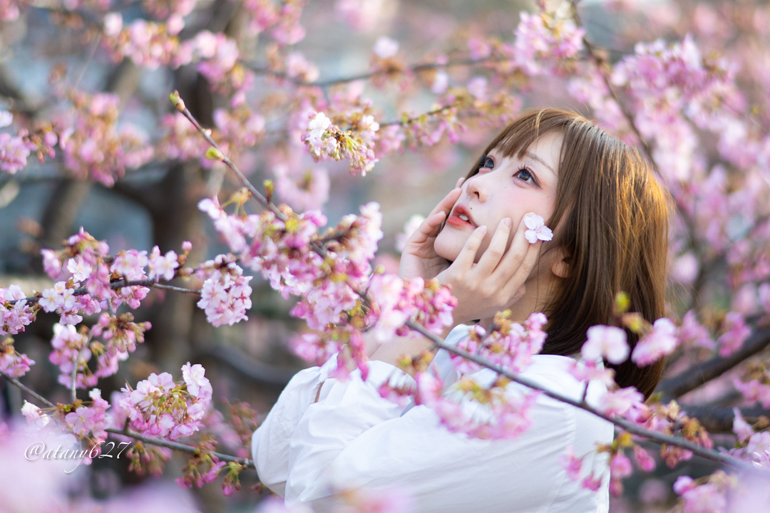 Thumb a1ec13a2 d806 431a 8c3d e44bd267044b