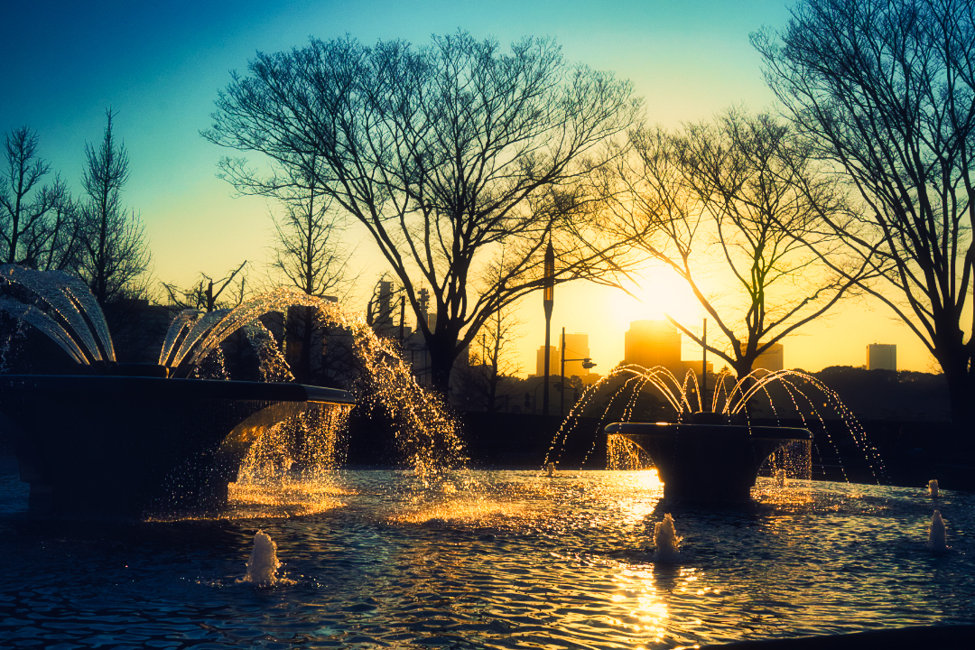 Thumb 14f59502 2cf2 4301 9b75 f5c5db228c84