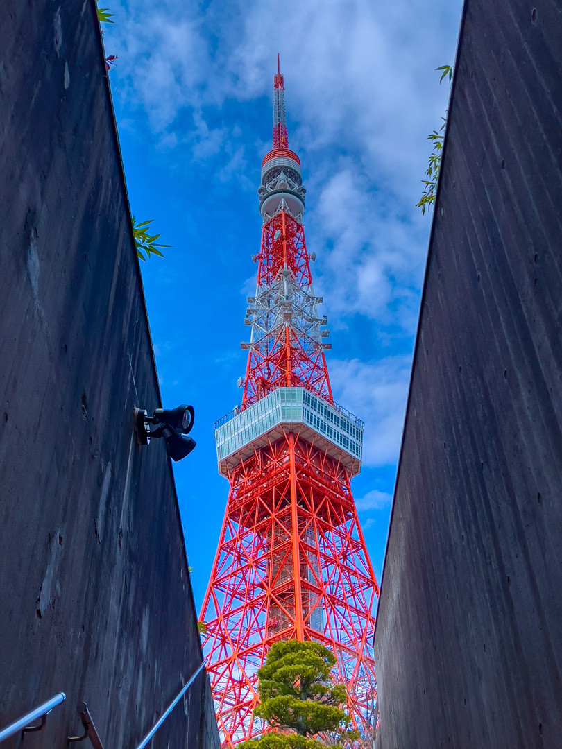 Thumb 900ca33a 75a6 4fb3 9f70 2850307aaf43