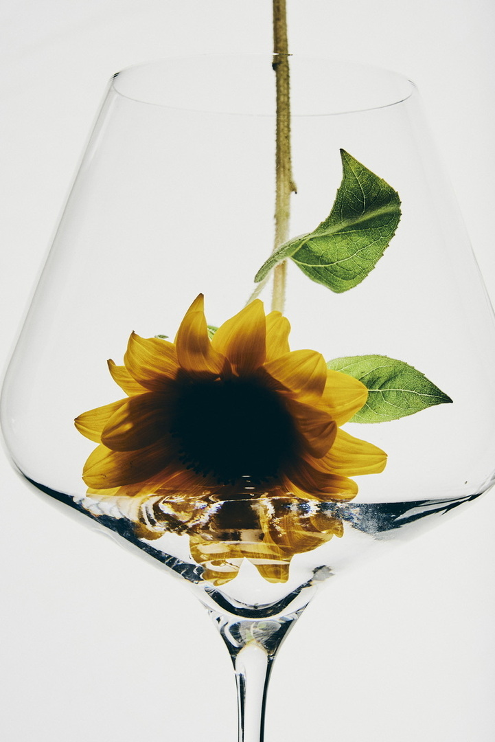 Thumb de1c78eb 0f6e 4a08 bd1c 6bd38755e9d4