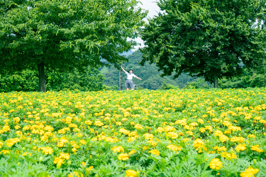 Thumb 7ce59640 04d6 40d2 8932 507c6298452a