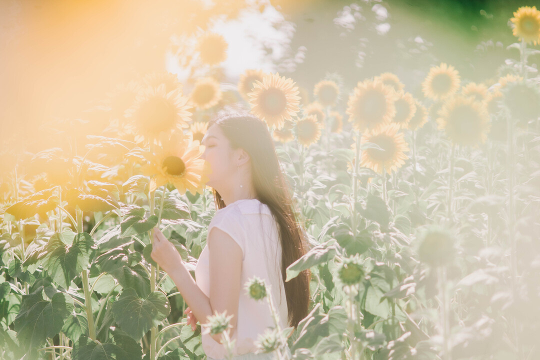 Thumb 80cfa0d0 d62b 4a30 96db a72167eaa467