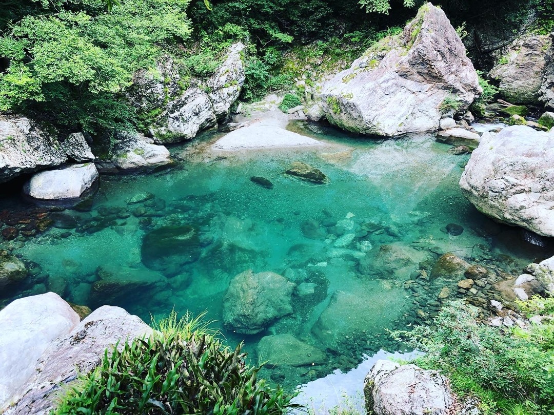 Thumb ab67a0f7 46b3 4024 85cb 3dcdb89f8d51